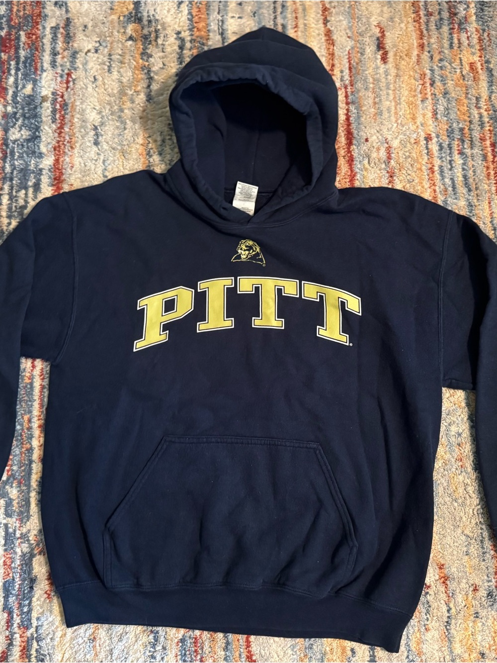 PITT/University of Pittsburgh Hoodie Sweatshirt